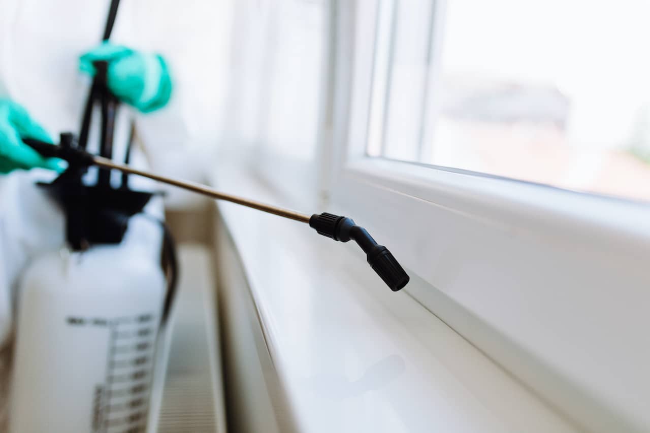 12 Pest Control Marketing Ideas That Bring in New Customers